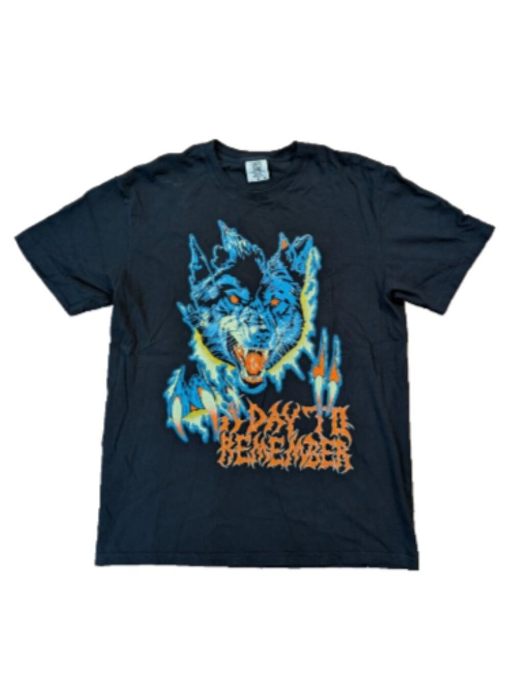 A Day To Remember Shirt Black 2 Sided Sz L ADTR And Out Came The Wolves Tour Tee